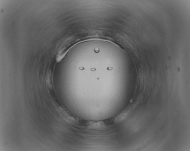 X0000076390185200610202113