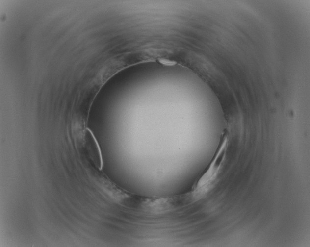 X0000076390186200610202113