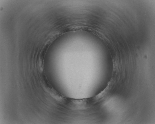 X0000076390187200610202113