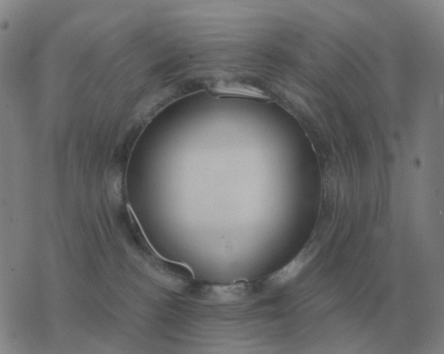 X0000076390188200610202113