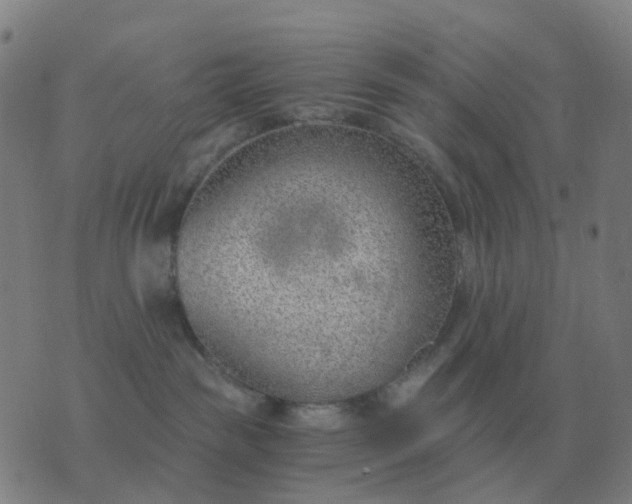 X0000076390189200610202113