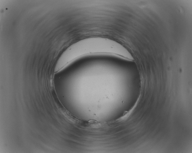 X0000076390190200610202113