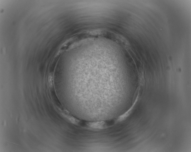 X0000076390191200610202113