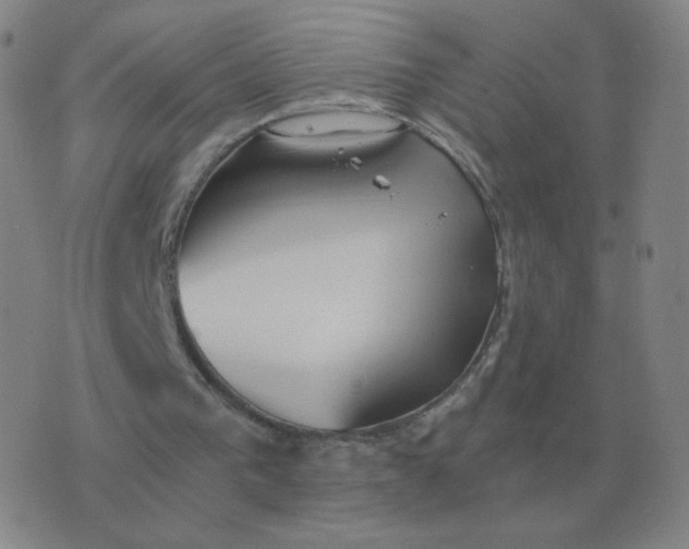 X0000076390193200610202113