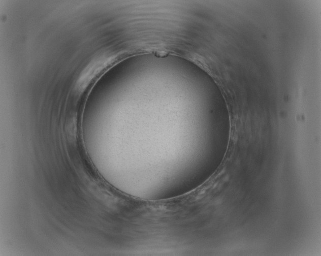 X0000076390194200610202113