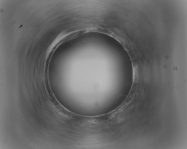 X0000076390195200610202113