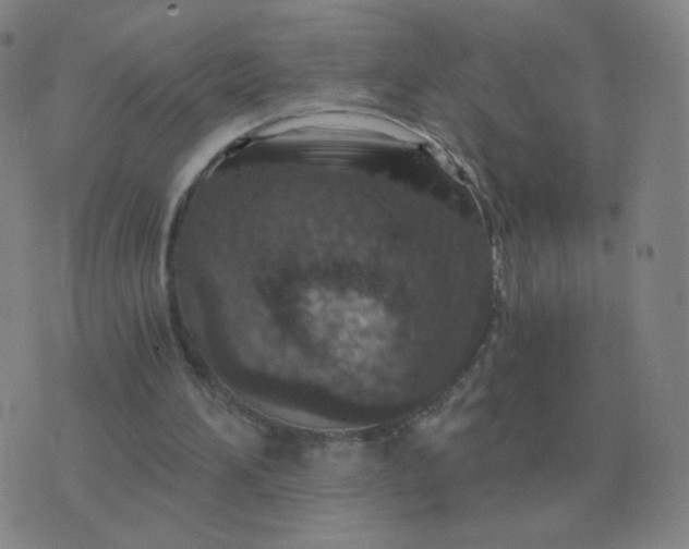 X0000076390196200610202113