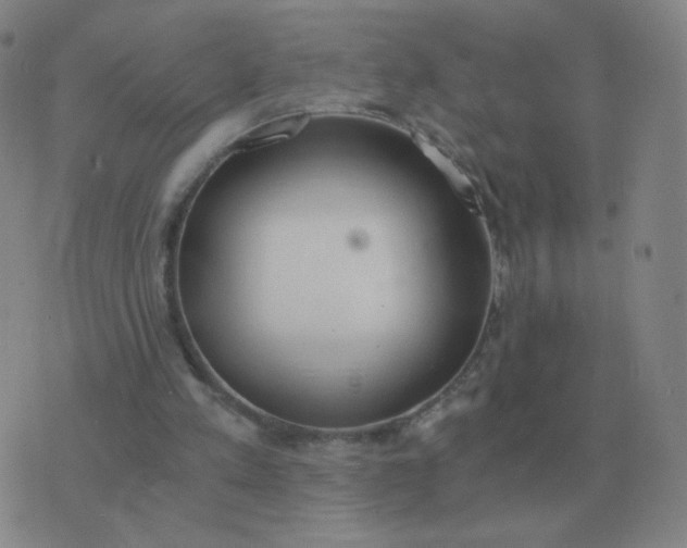 X0000076390197200610202113