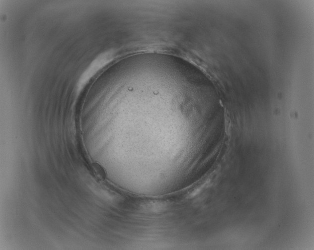 X0000076390198200610202113