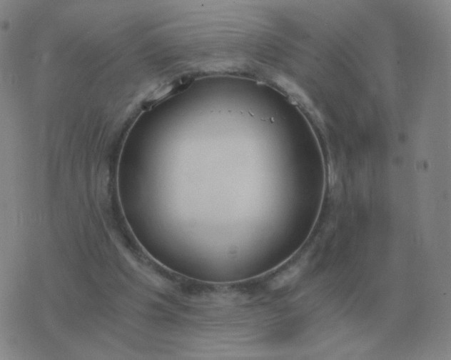 X0000076390201200610202113