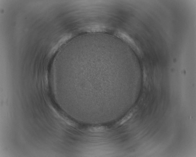 X0000076390202200610202113