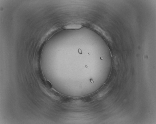 X0000076390203200610202113