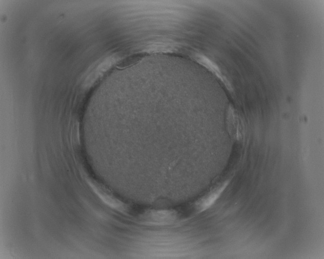 X0000076390205200610202112