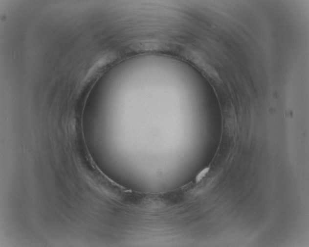 X0000076390207200610202112