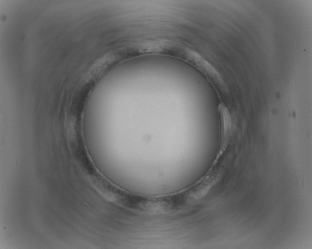 X0000076390209200610202112