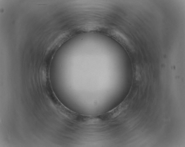 X0000076390210200610202112