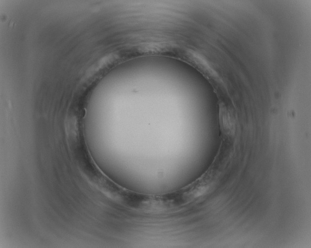 X0000076390211200610202112