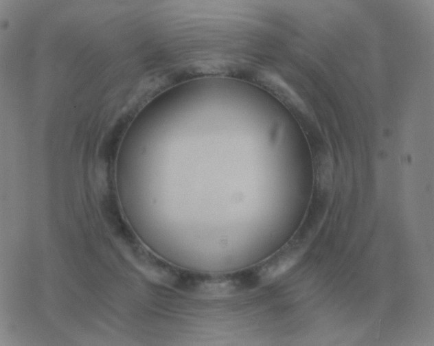 X0000076390213200610202112