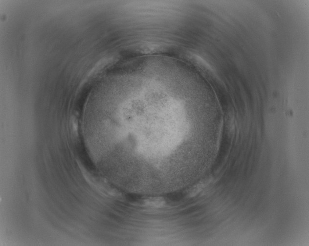 X0000076390214200610202112