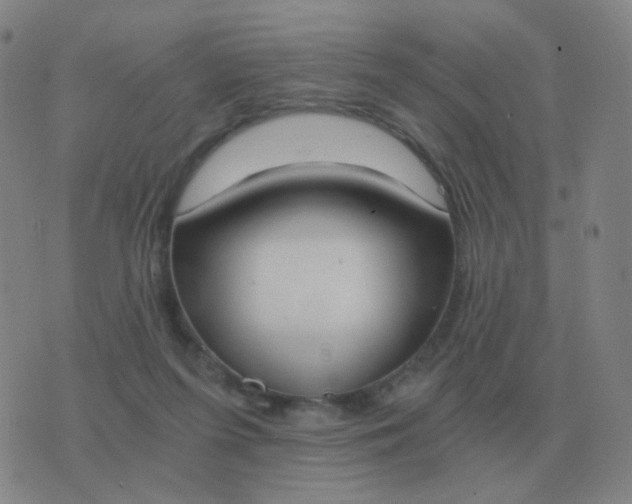 X0000076390215200610202112