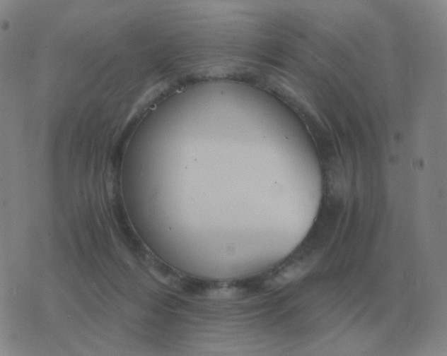 X0000076390216200610202112