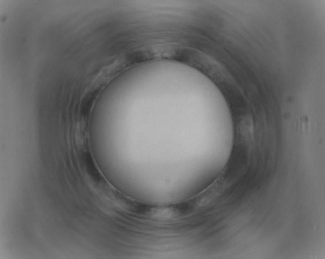 X0000076390218200610202112