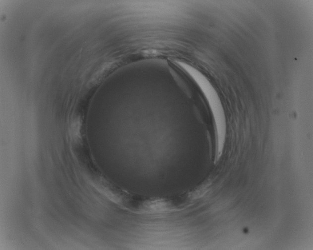 X0000076390219200610202112