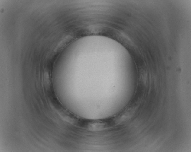 X0000076390220200610202112