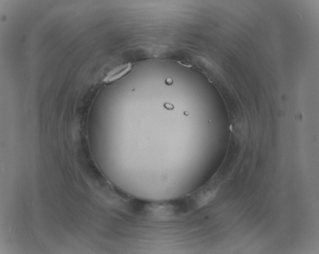 X0000076390221200610202112