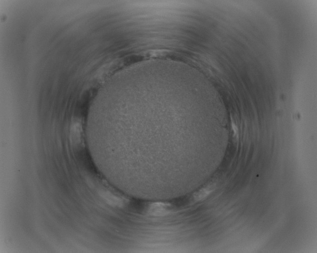 X0000076390222200610202112