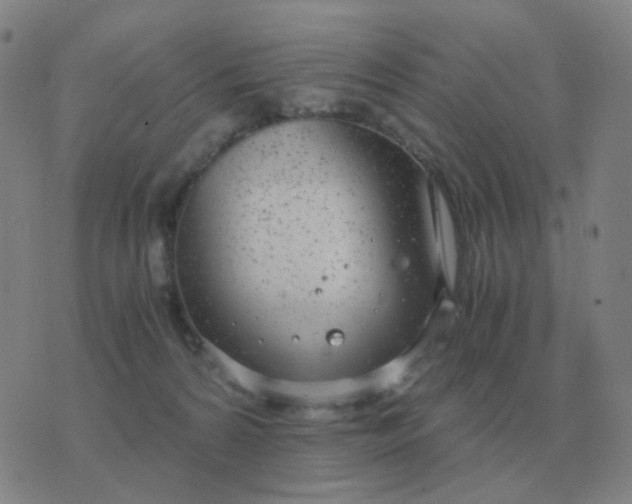 X0000076390224200610202112