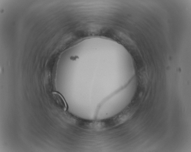 X0000076390225200610202112