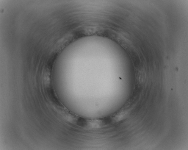 X0000076390226200610202112