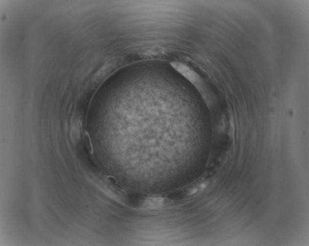 X0000076390227200610202112