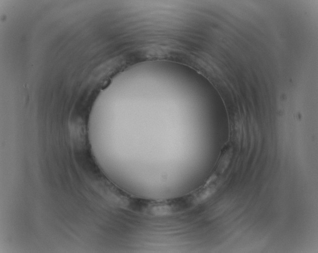 X0000076390228200610202112