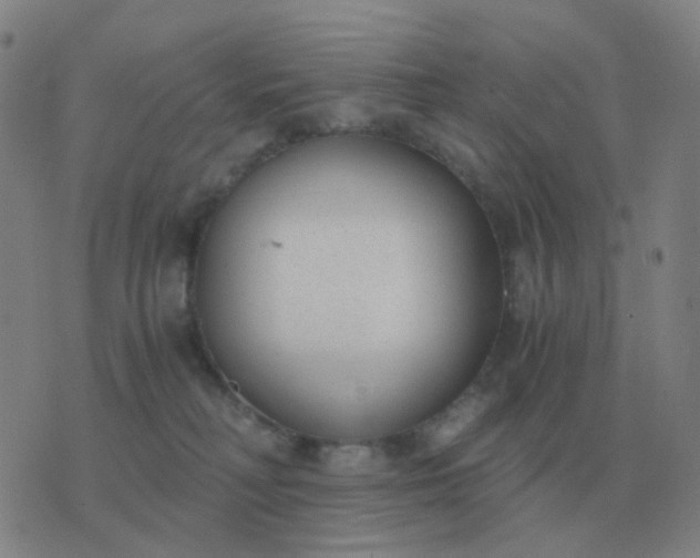 X0000076390230200610202112