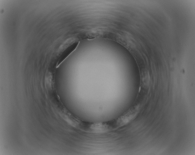 X0000076390231200610202112