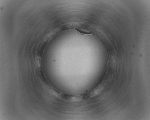 X0000076390232200610202112