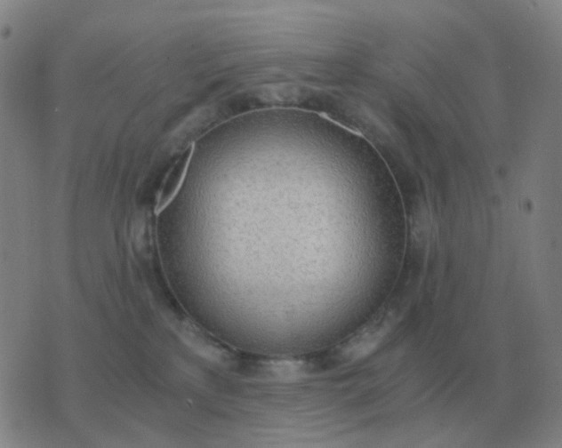 X0000076390233200610202112