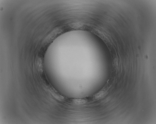 X0000076390234200610202112