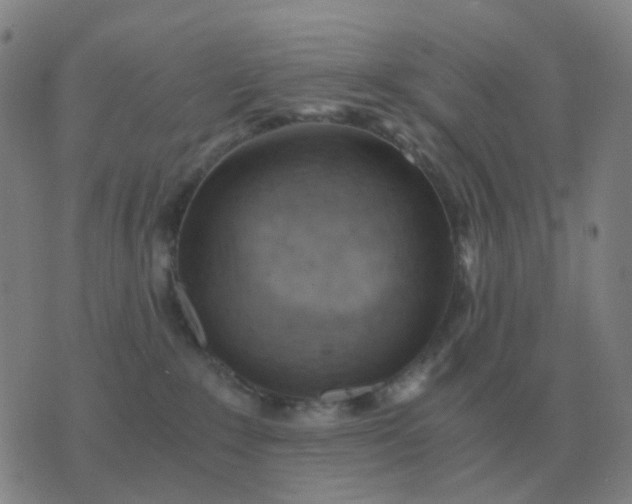 X0000076390235200610202112