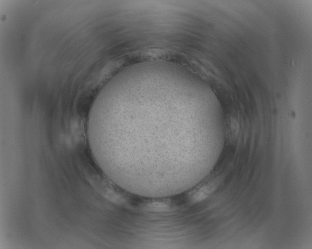 X0000076390236200610202112