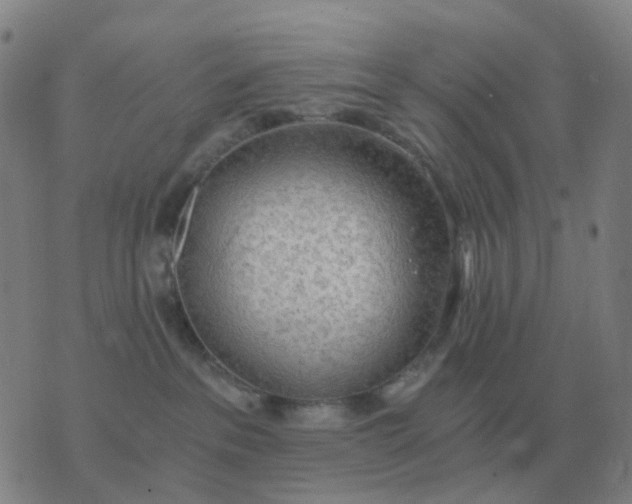 X0000076390237200610202112