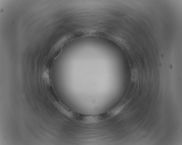 X0000076390238200610202112