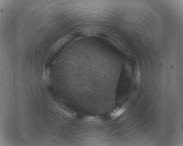 X0000076390239200610202112