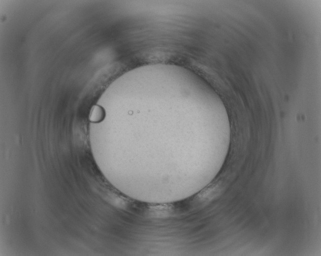 X0000076390240200610202112