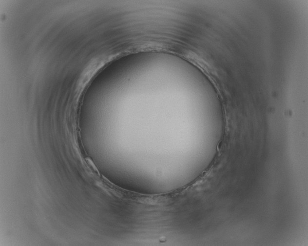 X0000076390241200610202111