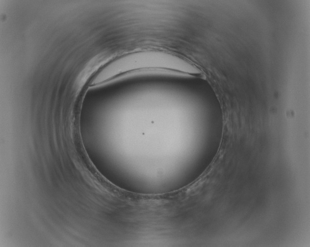 X0000076390242200610202111