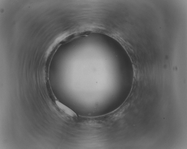 X0000076390244200610202111