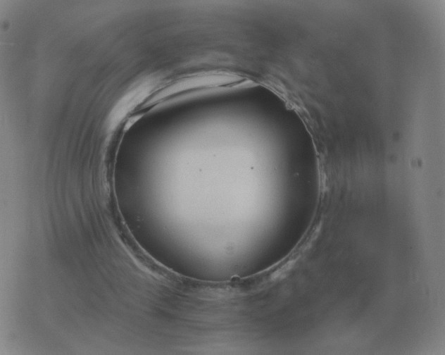 X0000076390245200610202111